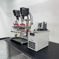 Radley's Dual 1000mL Reactor System image 1
